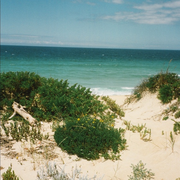 Meet your Posher, Neptune - Picture 2 of 2